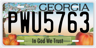 GA license plate PWU5763