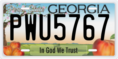 GA license plate PWU5767