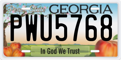 GA license plate PWU5768