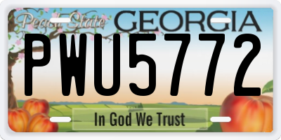 GA license plate PWU5772