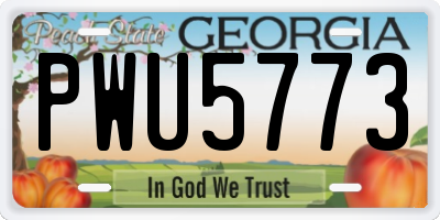 GA license plate PWU5773