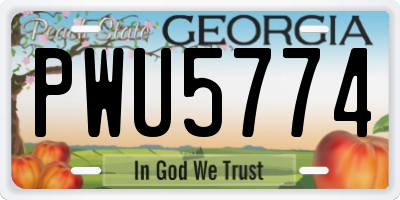 GA license plate PWU5774