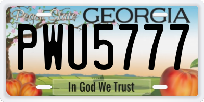 GA license plate PWU5777