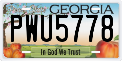 GA license plate PWU5778