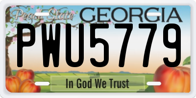 GA license plate PWU5779