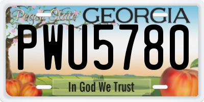 GA license plate PWU5780