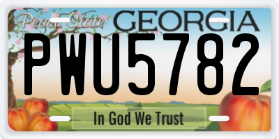 GA license plate PWU5782
