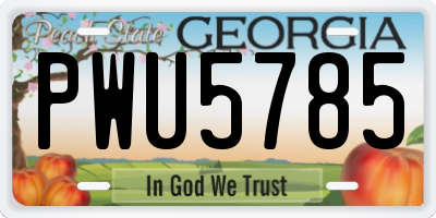 GA license plate PWU5785