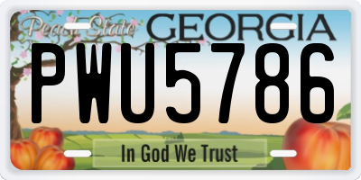GA license plate PWU5786
