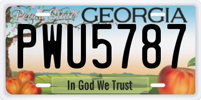 GA license plate PWU5787