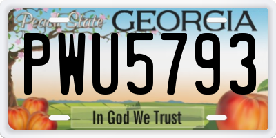 GA license plate PWU5793