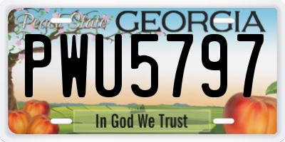 GA license plate PWU5797