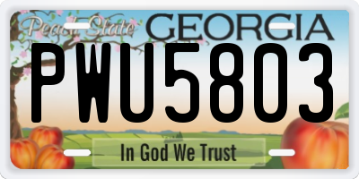 GA license plate PWU5803