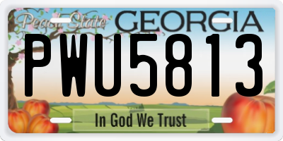 GA license plate PWU5813