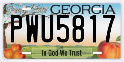 GA license plate PWU5817