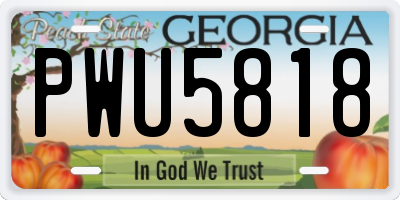 GA license plate PWU5818