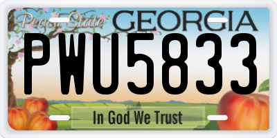 GA license plate PWU5833