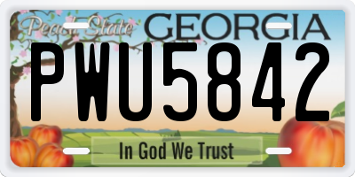 GA license plate PWU5842