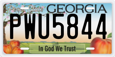 GA license plate PWU5844