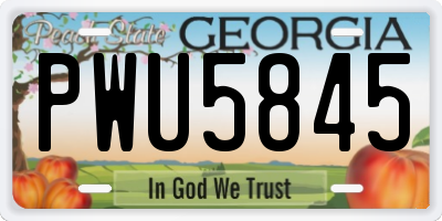 GA license plate PWU5845