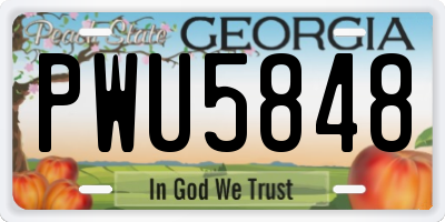 GA license plate PWU5848