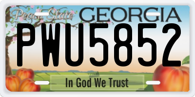 GA license plate PWU5852