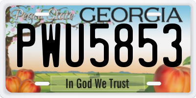 GA license plate PWU5853
