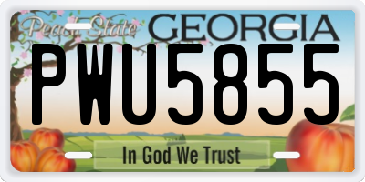 GA license plate PWU5855