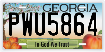 GA license plate PWU5864