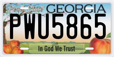 GA license plate PWU5865