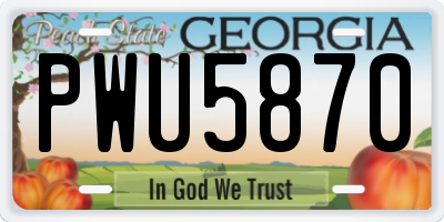 GA license plate PWU5870