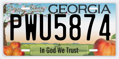 GA license plate PWU5874