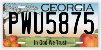 GA license plate PWU5875