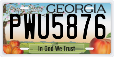 GA license plate PWU5876