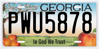GA license plate PWU5878
