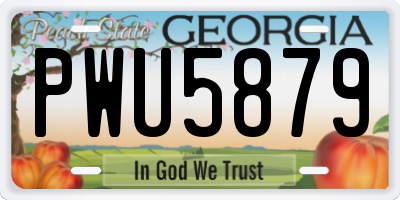 GA license plate PWU5879
