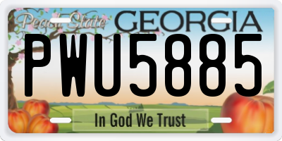 GA license plate PWU5885