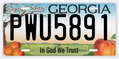 GA license plate PWU5891
