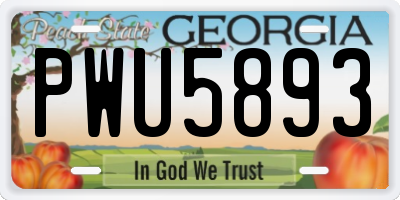 GA license plate PWU5893