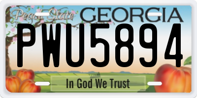 GA license plate PWU5894
