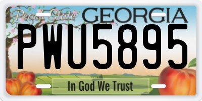 GA license plate PWU5895