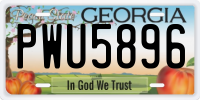 GA license plate PWU5896