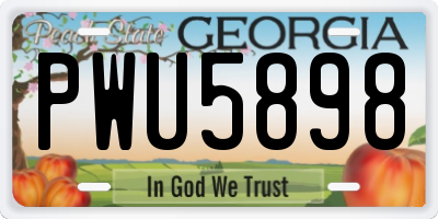 GA license plate PWU5898