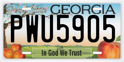 GA license plate PWU5905