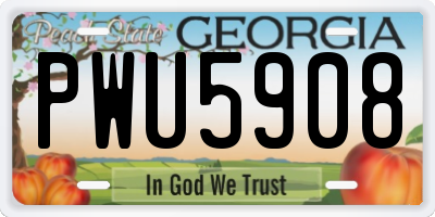 GA license plate PWU5908