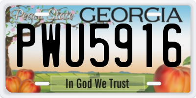 GA license plate PWU5916