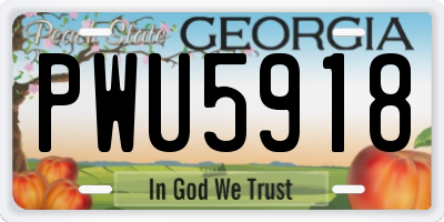 GA license plate PWU5918