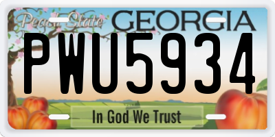 GA license plate PWU5934