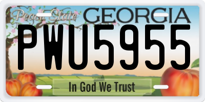 GA license plate PWU5955