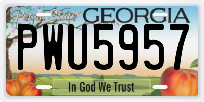 GA license plate PWU5957